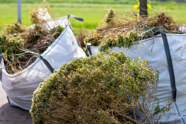 Best Local Junk Hauling  in Red Lion, PA